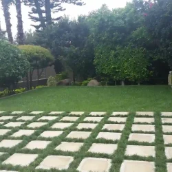 Dropped garden bed with shaped evergreens, large rocks & gravel. Square paving stones interplanted with Mondo grass adjacent to lawn.