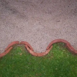 Roof tiles used on edge as lawn or bed edging. Border. Lawn and beige gravel.