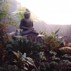 Large black concrete Buddha statue on granite block podium set in lush forest meditation garden.