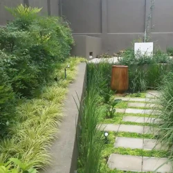 Tranquil back garden next to herb garden, ornamental grasses, ceramic pot, square concrete pavers .