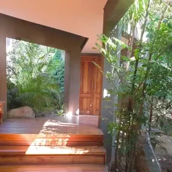 Entrance with tropical forest. Pond with stream running under walkway to waterfall. Root wood bench. Large rocks.