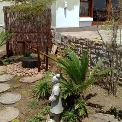 Japanese style garden using some indigenous plants and trees. Japanese water basin with kakehi and shishi-odoshi. Small resin X'ian warrior.