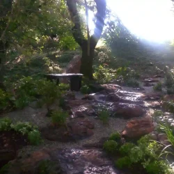 Mountain forest garden, rustic sleeper wood bench, gravel, rocks, Japanese water basin with bamboo water feature.