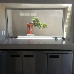 Cascade bonsai (Ficus Ginseng) placed on podium in window
