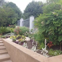 Western garden with slight Asian influences.