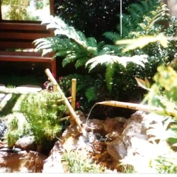 Shishi-odoshi 'deer-scarer' bamboo water feature next to pond