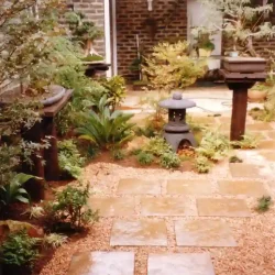 Courtyard Japanese bonsai garden with bonsai trees on wooden platforms, square concrete pavers and brown gravel. Japanese lantern.