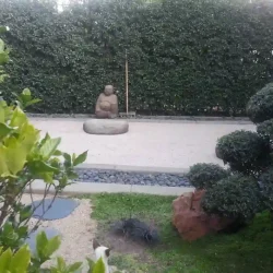 Stroll garden with natural slate steppingstones set into pale beige gravel path winding through mainly evergreen shrubs and shaped trees, Japanese Maple trees, ferns, ornamental grasses, azaleas, water feature, Japanese lantern. Winding path leads through to dry raked Zen garden comprising rocks and raked gravel at the far end.