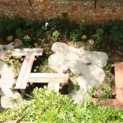 Large Japanese stroll garden. Flat natural rock stepping stones in gravel path. Wooden chopstick hashi bridges going over gravel pond with irises.