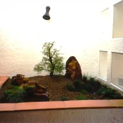 Miniature dry landscape using small dwarfed Stinkwood tree, rocks, brown gravel, ground covers, tiny indoor planter.