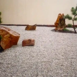 Dry Zen Japanese garden with grey gravel, rocks and Japanese Black Pines.