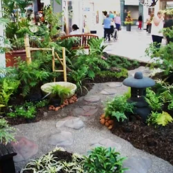 Eastgate Flower & Garden Show, exhibition, shopping centre display, Japanese garden. Shishi-odoshi 'deer-scarer' water feature